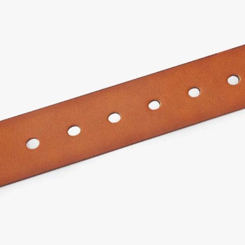 Forth Classic Men's Leather Belt
